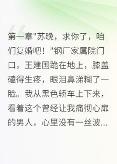 二嫁军区首长前夫悔断肠跪家属院小说主角是沈墨苏晚全文完整版阅读-英驰看书网