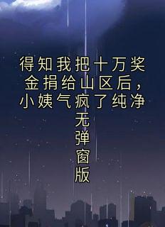 得知我把十万奖金捐给山区后,小姨气疯了纯净无弹窗版by浅夜橙(林晚周宇)未删节免费阅读-英驰看书网