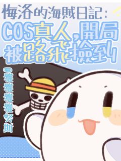 梅洛路飞小说结局