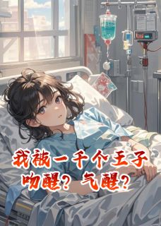 我被一千个王子吻醒？气醒？小说主角是林深苏晚全文完整版阅读-英驰看书网