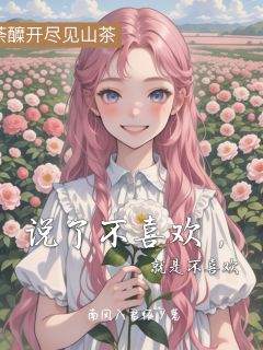 说了不喜欢,就是不喜欢宋娉婷宋良辰无广告在线阅读