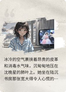 全本资源在线阅读一辈子的悔恨陆沉沈晚星