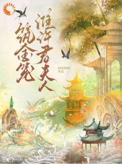 筑金笼:淮许君夫人在线阅读 宋梨陆绥免费小说精彩章节