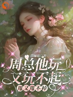 周总他玩又玩不起,甩又甩不掉免费阅读全文,主角付莱恩周青阁小说