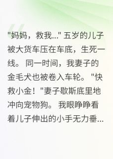 全章节小说妻子救狗放弃儿子,三年后跳楼一见卿卿误终生最新阅读-英驰看书网