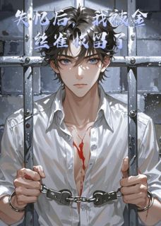 抖音沈逸尘陆沉小说叫什么名字