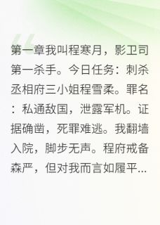 影卫司第一杀手退休开客栈章节全目录 小雨程雪柔程达全文免费阅读