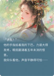 昭昭不悔:疯批太子跪求原谅小说全集(顾沉霄砚书)无弹窗广告阅读