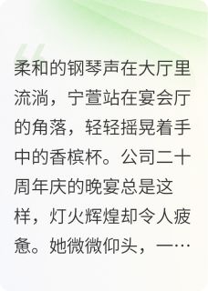 宁萱齐朗齐骁重逢在婚约之后全章节免费阅读