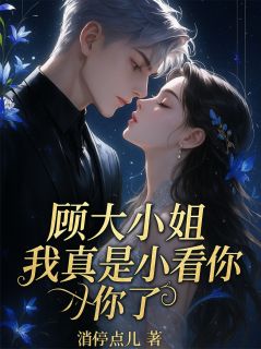 顾大小姐我真是小看你了小说免费阅读 顾梦蝶齐盛大结局完整版