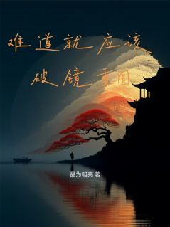 难道就应该破镜重圆？小说的书名是什么