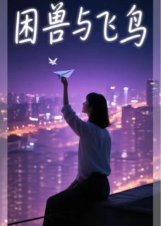 抖音爆款困兽与飞鸟小说免费阅读-英驰看书网