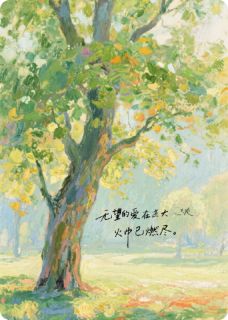 林墨沈知远完整未删减版在线阅读 林墨沈知远结局