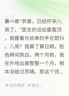 精彩小说苏晴林薇陈宇她为助理生子，三年后求复合全文目录畅读-英驰看书网