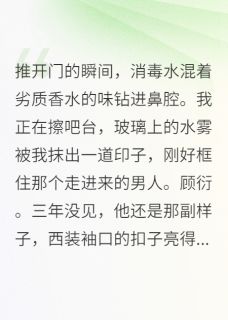 替身游戏：顾总乱了呼吸by甜9先生免费阅读小说大结局-英驰看书网