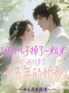 小说推荐因为儿子掉了一粒米,我结束了十五年的婚姻完结版全章节阅读-英驰看书网