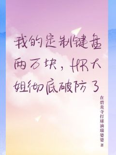 我的定制键盘两万块,HR大姐彻底破防了精彩章节-我的定制键盘两万块,HR大姐彻底破防了免费阅读全文