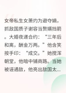 书荒必备萧灼谢容小说-英驰看书网