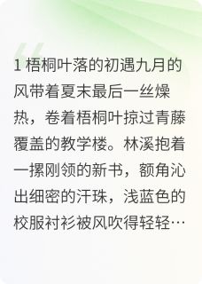 夏夜晚风的约定章节目录小说-林溪江熠免费阅读全文-英驰看书网