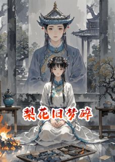 精品小说梨花旧梦碎全文目录畅读