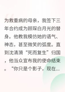 主角顾琛沈清漪小说完整版最新章节-契约替身的绝地反击免费阅读全文-英驰看书网