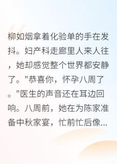 (抖音)老公为小姑子要和我离婚柳如烟陈慕白陈雅琳小说免费全文阅读