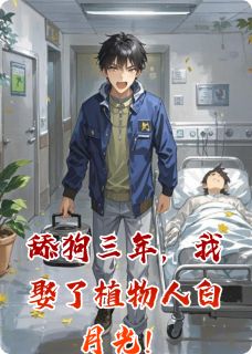 无弹窗小说舔狗三年，我娶了植物人白月光！ 作者两钝烧烤
