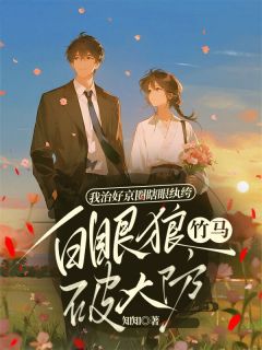 我治好京圈瞎眼纨绔，白眼狼竹马破大防免费阅读全文，主角叶毓宁傅青朗小说