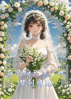 南风知我意,吹梦到身边知乎小说最新章节阅读