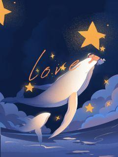 值得熬夜看完的道是无情却有情小说阅读