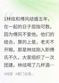 小说提出离婚后，地下室准备完毕主角为林炫傅风免费阅读-英驰看书网