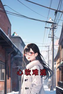 顾顾陆斐全集小说_心软难逃完结版阅读-英驰看书网