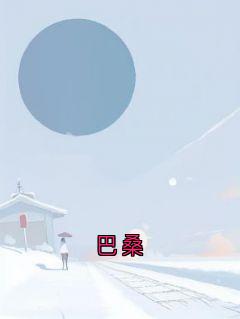 巴桑快手热推眠眠巴桑免费阅读