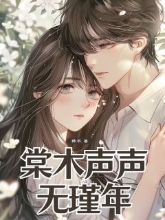 棠木声声无瑾年(盛棠安沈璟年)精彩小说目录阅读-英驰看书网
