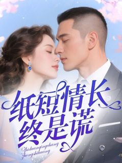 纸短情长终是谎小说百度云完整章节列表免费阅读
