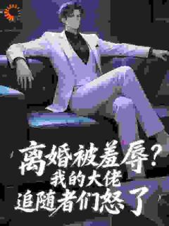 离婚被羞辱？我的大佬追随者们怒了江凡顾清雪无广告在线阅读