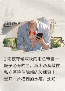 雨夜沉梦by沝隐小说完结版在线阅读