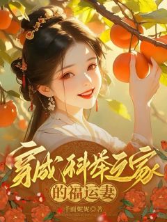 沈梨陆明璋小说穿成科举之家的福运妻免费阅读