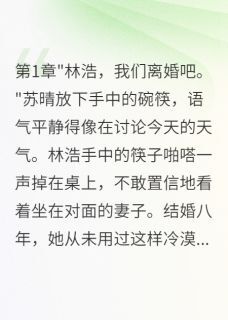 快手热文他说我只配做保姆离婚后年薪百万苏晴林浩小宇小说推荐