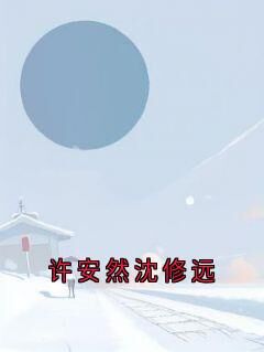 书荒必备许安然沈修远小说