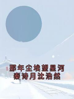 那年尘埃望星河秦诗月沈浩然沈浩然秦诗月全章节在线阅读