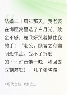 完整版不负故乡月楚欣妍晓涛顾言之小说免费在线阅读-英驰看书网