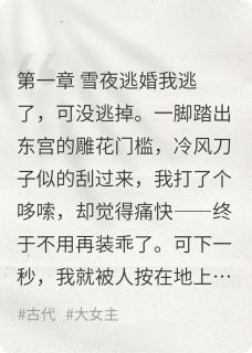 主角是赫兰雪王猛北狄的小说-雁门雪不归完整章节阅读