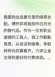 孟孟小说(完结版)-傅怀弈苏慕在线阅读