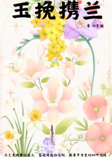 林挽陈澜玉兰是哪部小说的主角 林挽陈澜玉兰全文阅读