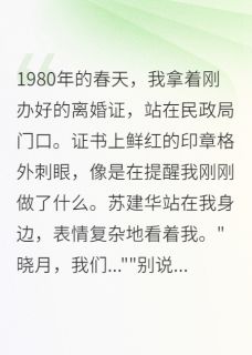 抖音爆款离婚证上的秘密,让我重新认识他完整小说(全文阅读)-英驰看书网