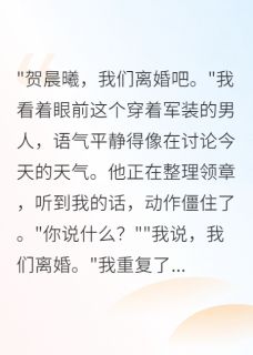 重生后离婚,军区首长求我回头免费阅读全文,主角贺晨曦苏雅小说-英驰看书网
