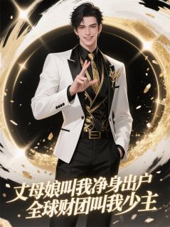 全网首发完整小说岳母逼我净身出户全球财团叫少主主角叶凡赵金花苏婉在线阅读