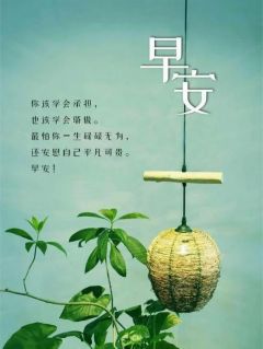 老婆不在家小雨林悦苏瑶全章节目录免费阅读