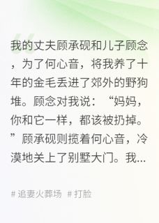 主人公顾承砚何心音顾念小说以念之名在线全文阅读